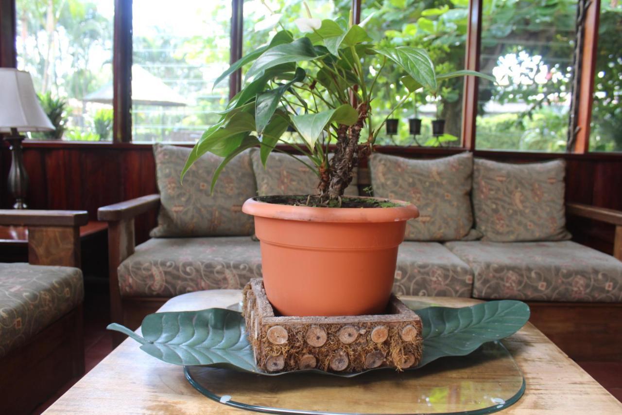 Hotel Bristol Aeropuerto Animas  外观 照片